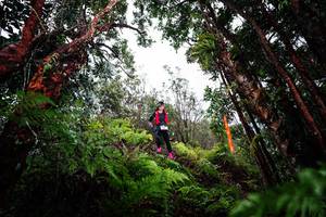 BIB: 
                            <button type="button" onclick="openModal(26203303)" class="btn btn-primary btn-sm float-right btn-popup" data-toggle="modal" data-target=".modal-high-quality">
                        <i class="fas fa-shopping-cart"></i> Add to Cart
                    </button>
                                            <button type="button" onclick="isThisMe(26203303, true)" class="btn btn-success btn-sm float-right btn-popup btn-isme hidden" data-toggle="tooltip" data-placement="bottom" title="นี่คือรูปของคุณใช่ไหม คลิกที่นี่เพื่อเอาเข้าอัลบั้ม">
                        <i class="fas fa-plus"></i> Add to album
                    </button>
                    <button type="button" onclick="isThisMe(26203303, false)" class="btn btn-warning btn-sm float-right btn-popup btn-isnotme hidden">
                        <i class="fas fa-ban"></i> Remove from album
                    </button>